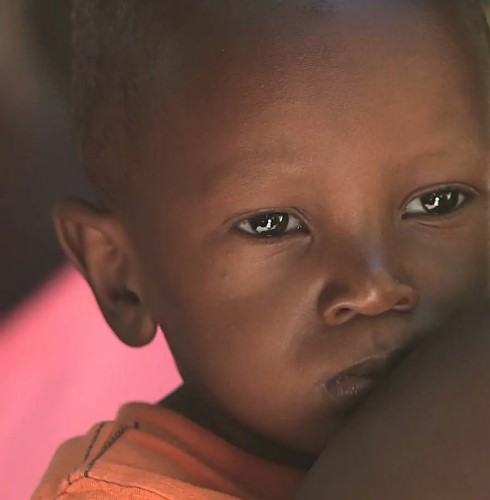 Shelter and Protection